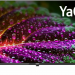 Телевизор BBK 32LEX-7231/FTS2C SMART TV, 32", LED, FULL HD, YaOS, черный