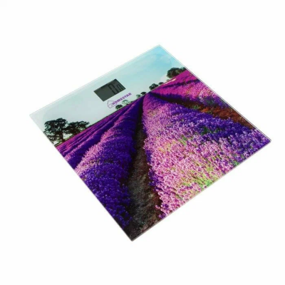 Напольные весы HomeStar HS-6001G