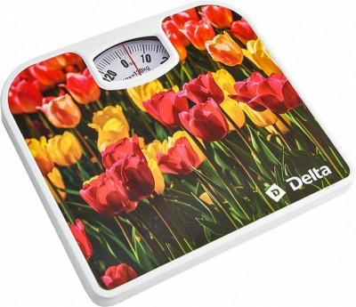 Напольные весы Delta D-9407