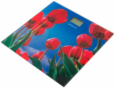 Напольные весы HomeStar HS-6001I