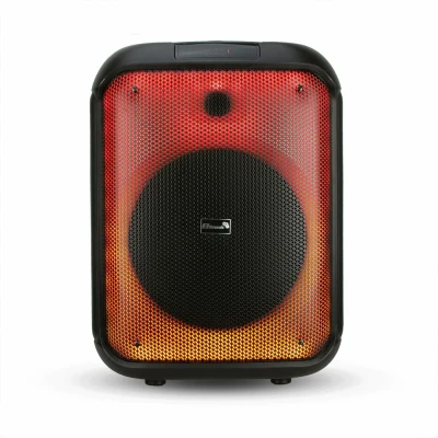 Колонка ELTRONIC 30-11 (FIRE BOX 800)