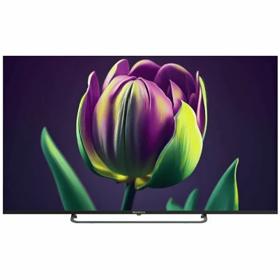 Телевизор TOPDEVICE TV TDTV65CS06U_BK