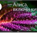 LED телевизоры BBK 32LEX-7204/TS2C