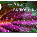 32" Телевизор VEKTA LD-32SR4860BS, HDR, Smart TV, черный, Direct LED, 60 Гц