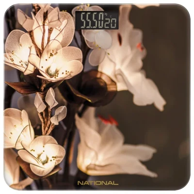 Напольные весы National NB-BS18107