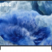 Телевизор SAMSUNG QE-43Q8FAAUXRU
