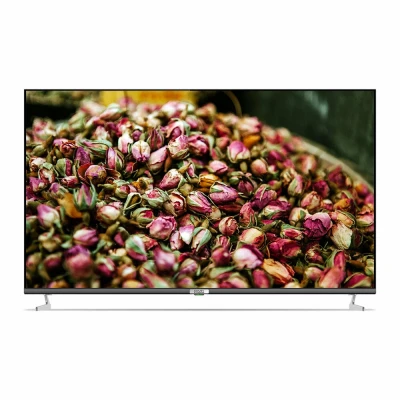 Телевизор POLAR P55U53T2CSM 