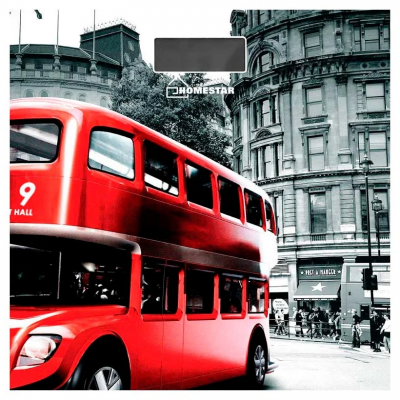 Напольные весы HomeStar HS-6001F (красный/серый)