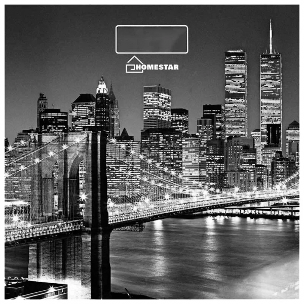 Напольные весы HomeStar HS-6001E