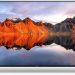 Телевизор Xiaomi Mi 55 A Pro L55MA-SRU  ELA5473GL (международная версия) SMART TV