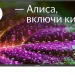 Телевизор LED Digma 43 DM-LED43SBB31