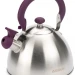 Чайник со свистком Attribute ASS309
