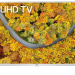 43" Телевизор LG 43UP76906LE LED, HDR (2021), белый