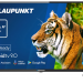 32" Телевизор Blaupunkt 32WE265T LED (2021), черный