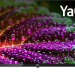 Телевизор BBK 32LEX-7235/FTS2C SMART TV