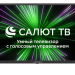 32" Телевизор HARPER 32R610TS, черный