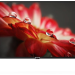 Телевизор BAFF 40Y FHD-R SMART TV