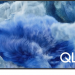 Телевизор SAMSUNG QE-55Q8FAAUXRU