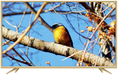 Телевизор ERISSON 32LEA17-T2 золотой