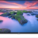 32" Телевизор Xiaomi TV A2 32 LED RU (L32M7-EARU), черный