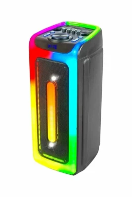 Портативная аудиосистема TAKARA PARTY 802, музыкальный центр, колонка 80Вт, минисистема, мультимедийная система