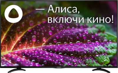 Телевизор IRBIS 50U1YDX185BS2